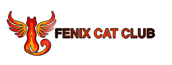 Félix Cat Club